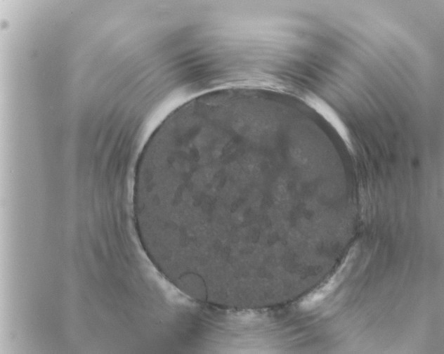 X0000088591099200706011131