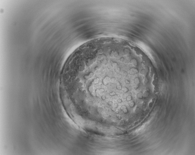 X0000088591100200706011131