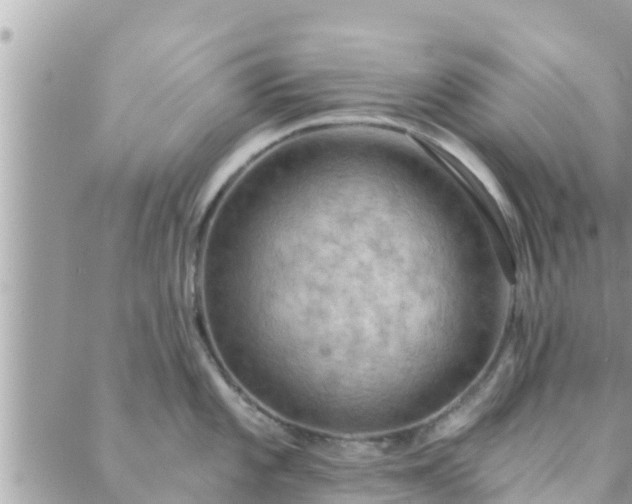 X0000088591101200706011131