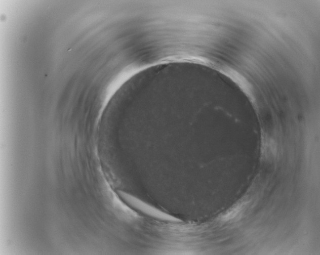 X0000088591102200706011131