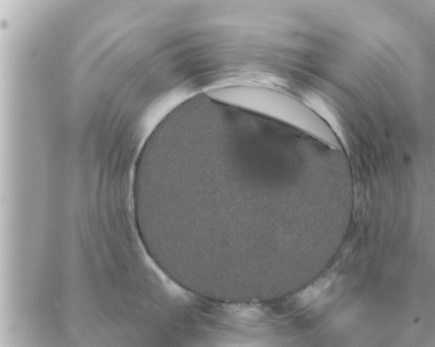 X0000088591103200706011131