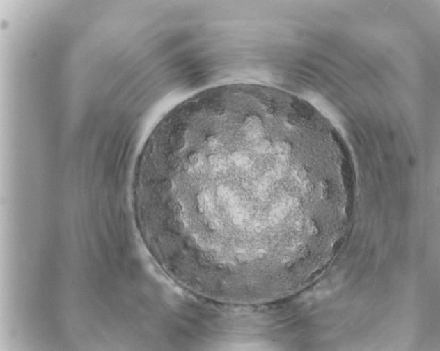 X0000088591104200706011131