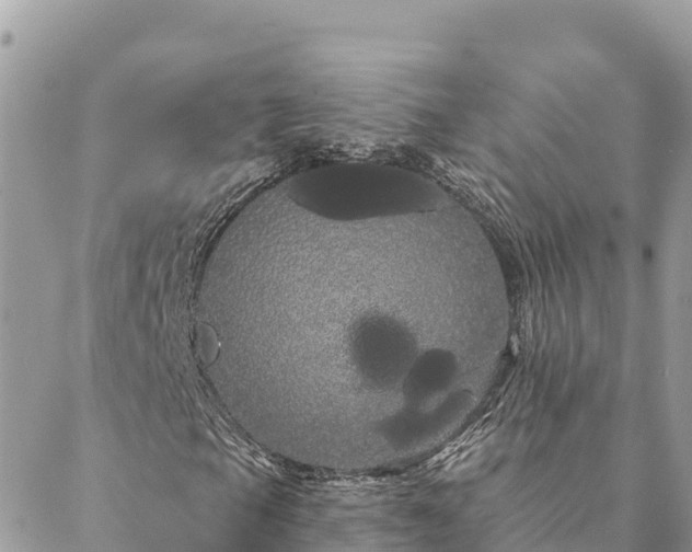 X0000088591105200706011130