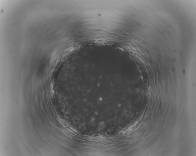 X0000088591106200706011130