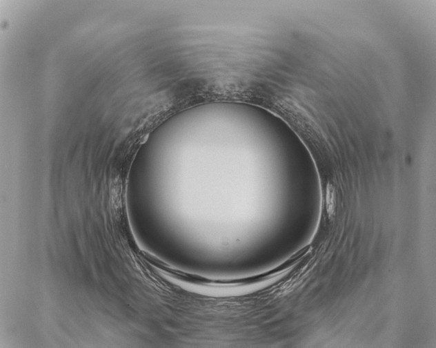 X0000088591107200706011131