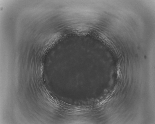 X0000088591108200706011131