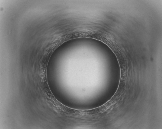 X0000088591109200706011131