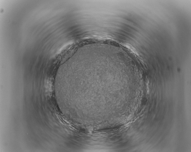 X0000088591110200706011131