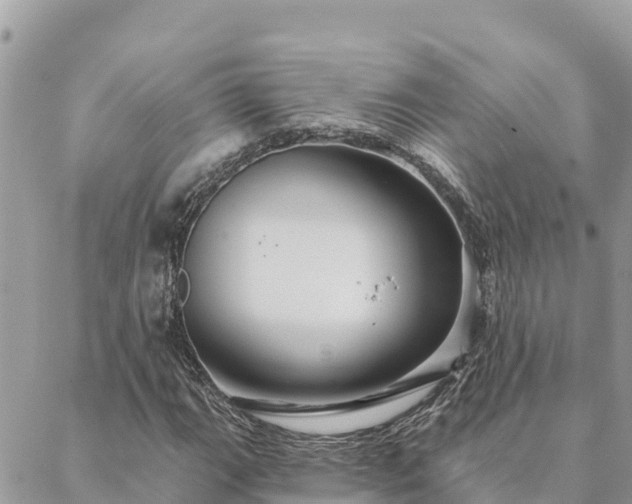 X0000088591111200706011131