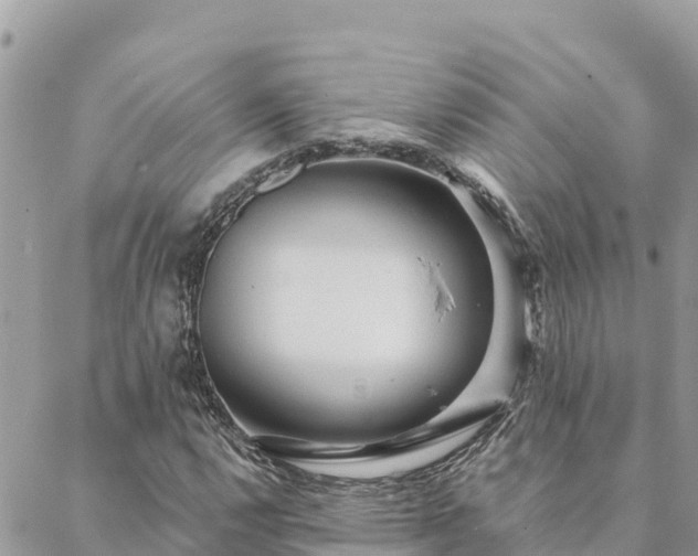 X0000088591112200706011131