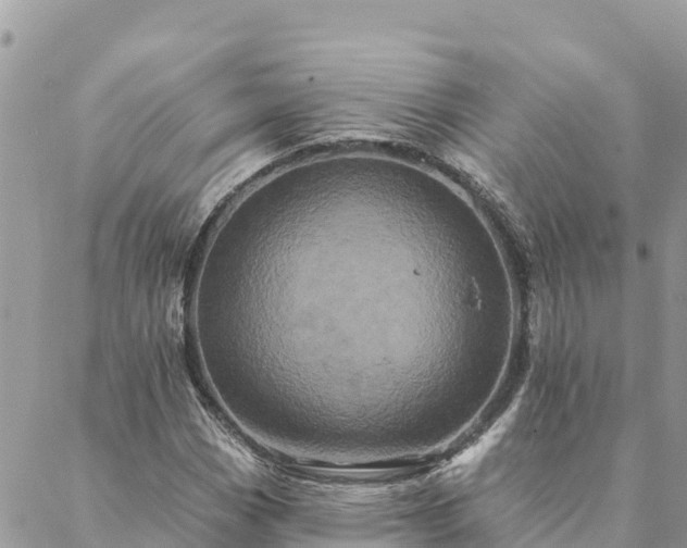 X0000088591113200706011131