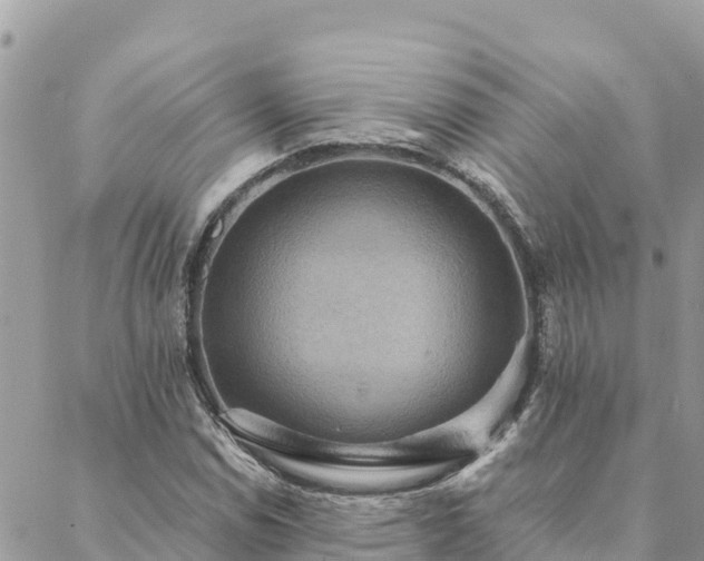 X0000088591114200706011131