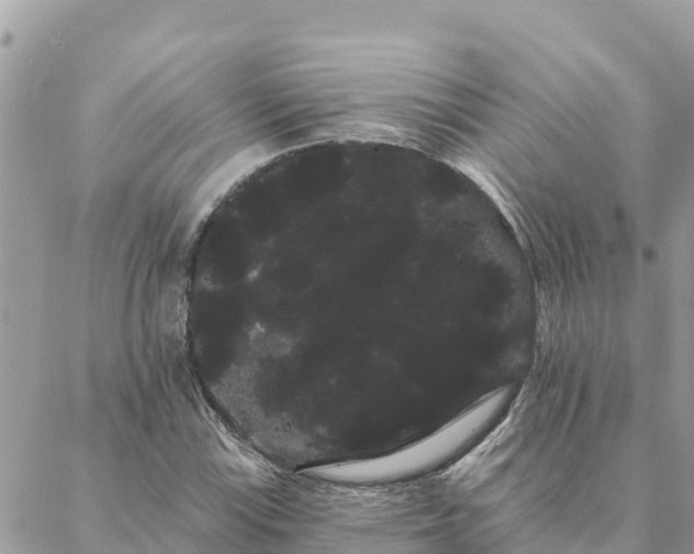 X0000088591115200706011131