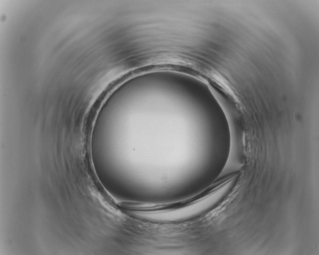 X0000088591116200706011131