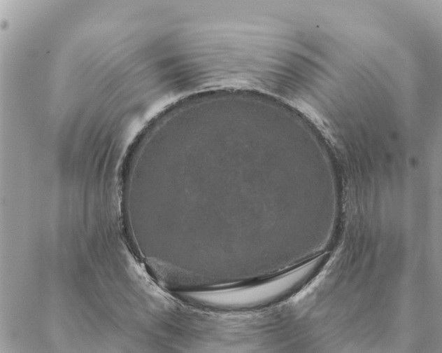 X0000088591118200706011131