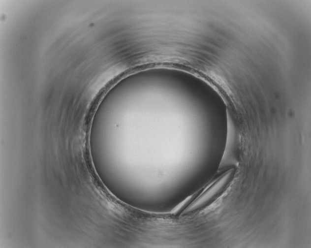 X0000088591119200706011131