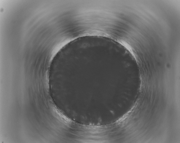 X0000088591120200706011131