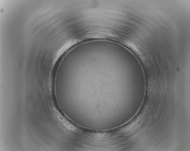 X0000088591122200706011131