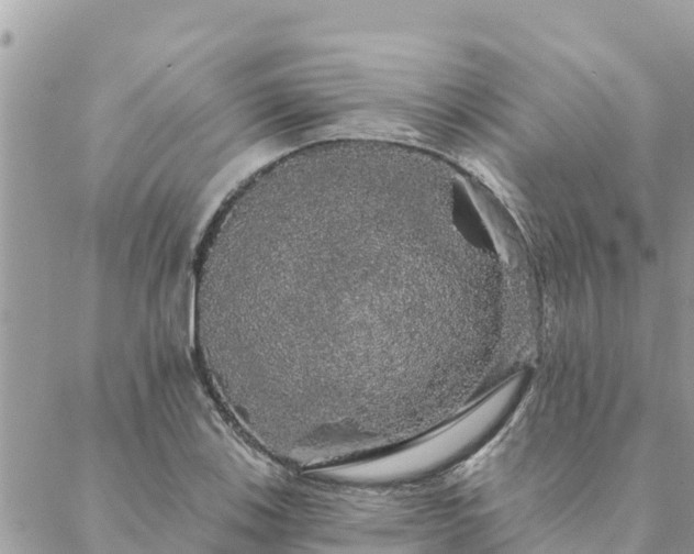 X0000088591123200706011131