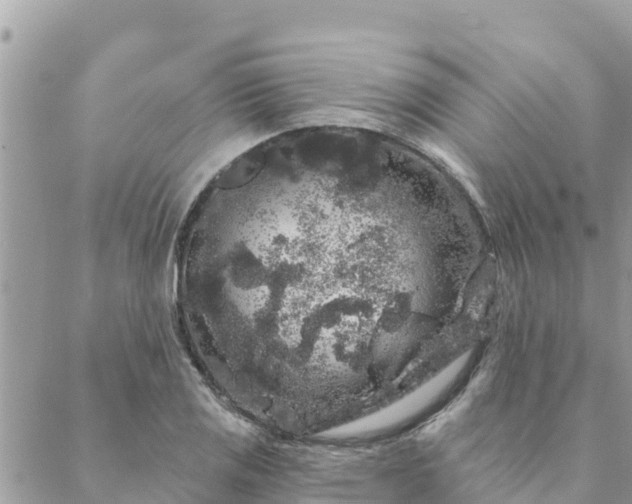 X0000088591125200706011131