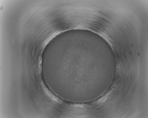 X0000088591126200706011131