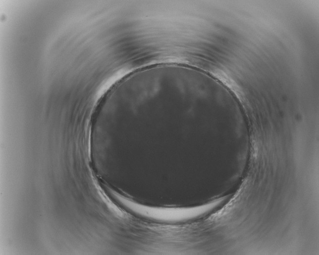 X0000088591127200706011131