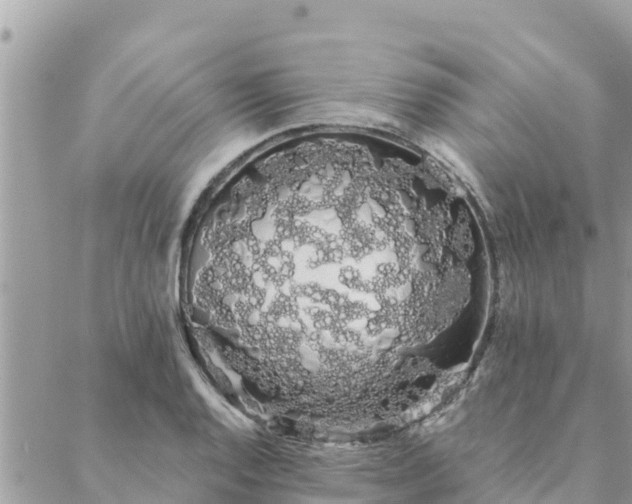 X0000088591128200706011131