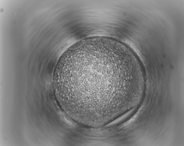 X0000088591129200706011131