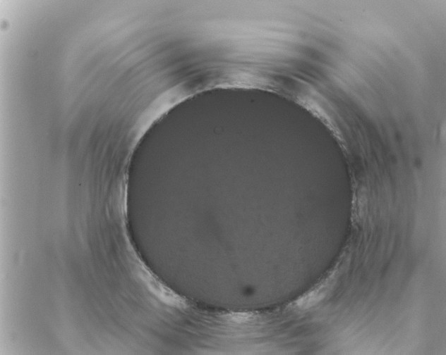 X0000088591130200706011131