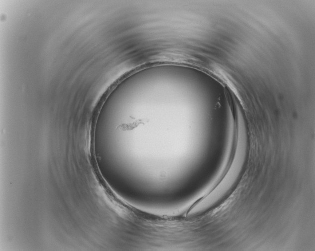 X0000088591131200706011131