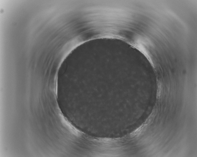 X0000088591132200706011131