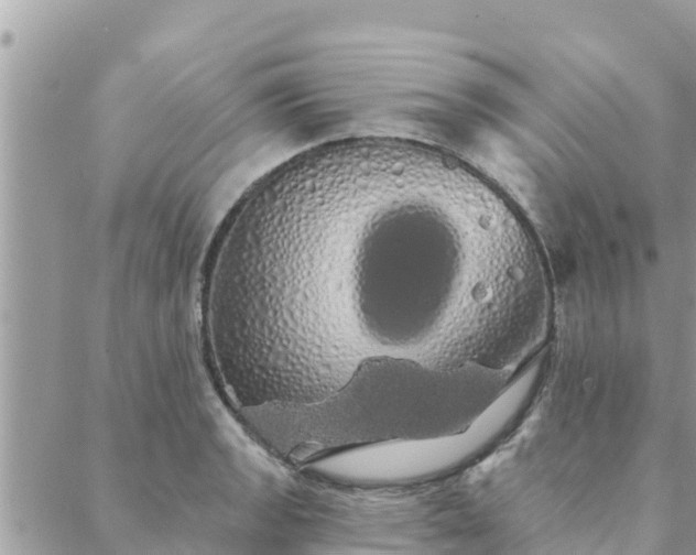 X0000088591133200706011131