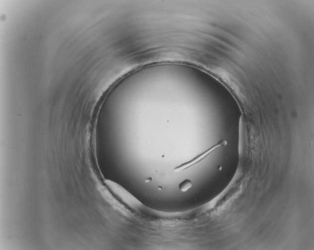 X0000088591134200706011131