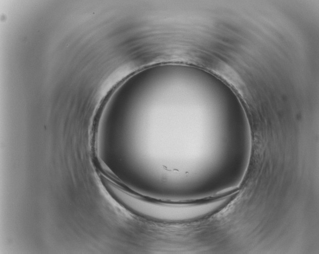 X0000088591135200706011131