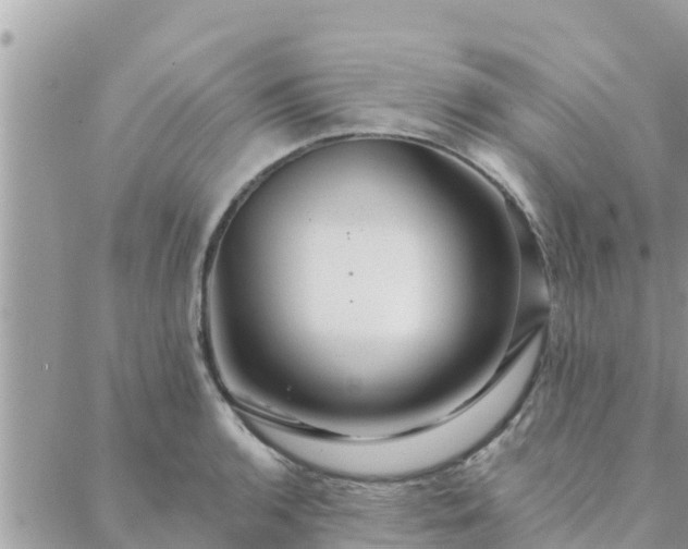 X0000088591136200706011131