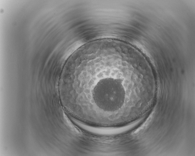 X0000088591137200706011131