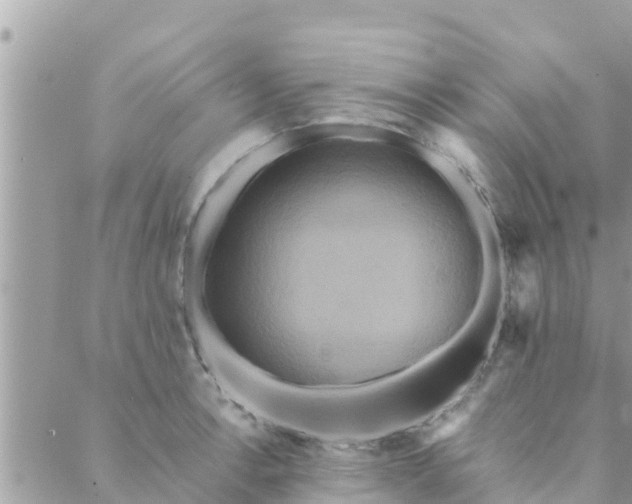 X0000088591138200706011131