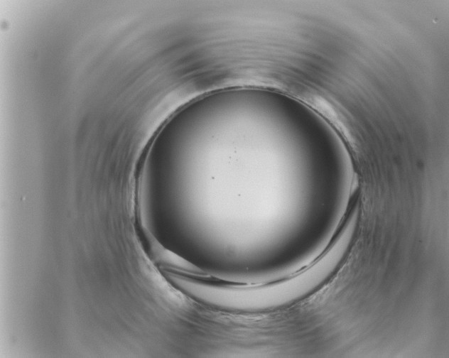 X0000088591140200706011131