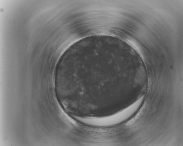 X0000088591141200706011131