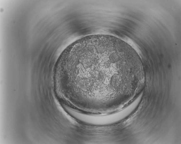 X0000088591142200706011131