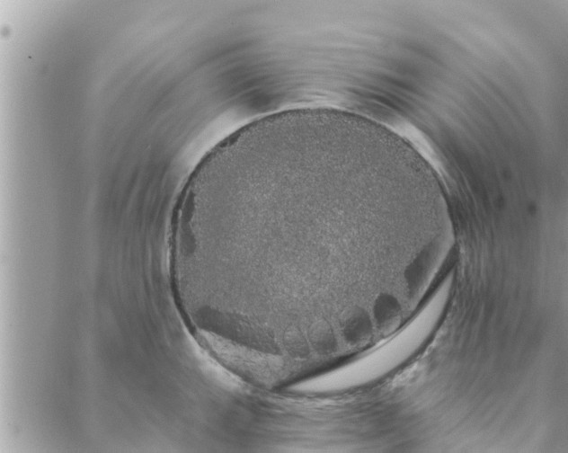 X0000088591143200706011131