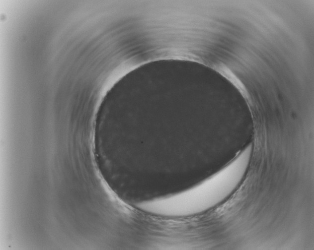 X0000088591144200706011131