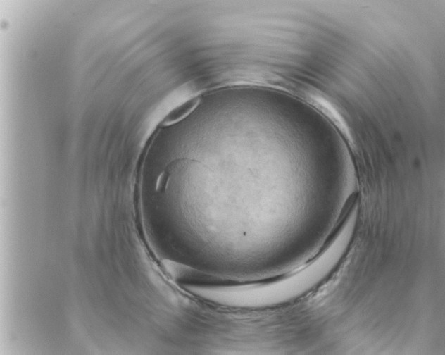 X0000088591146200706011131