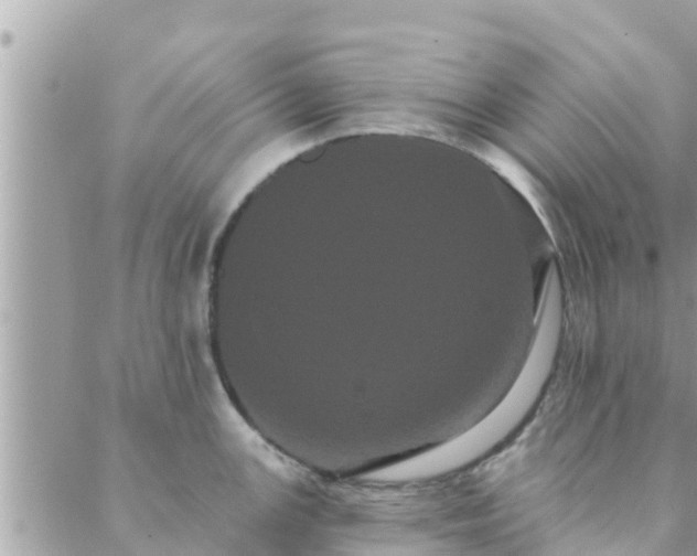 X0000088591147200706011131