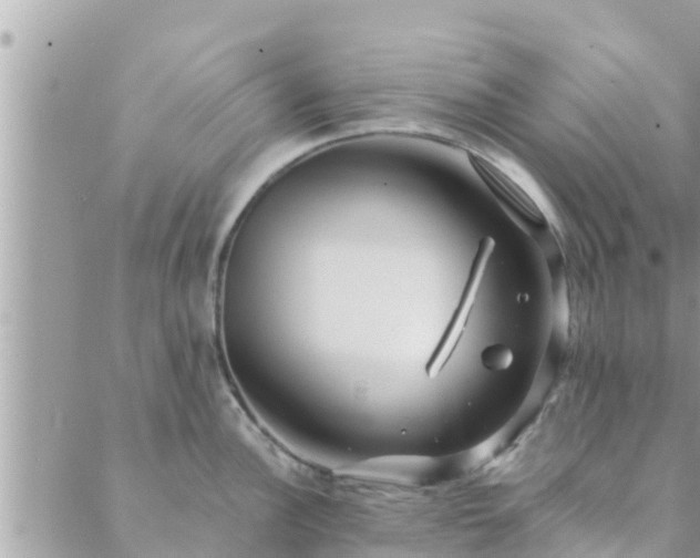 X0000088591148200706011131