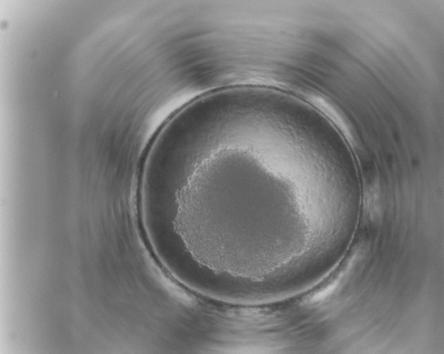 X0000088591149200706011131