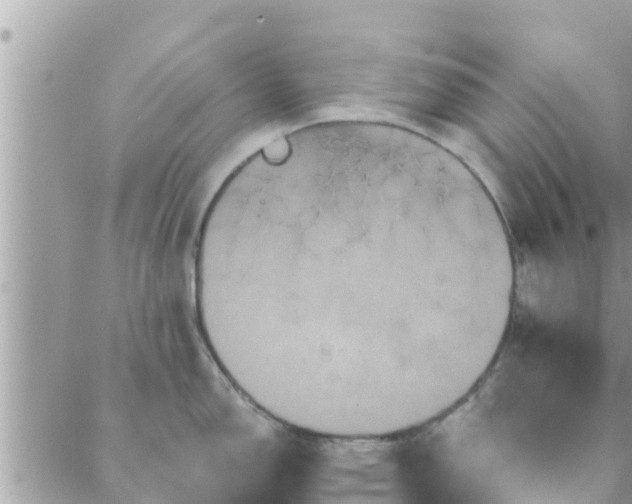 X0000088591150200706011131