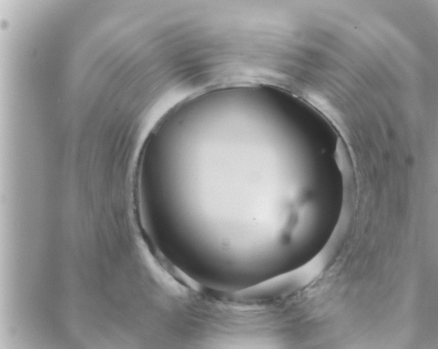 X0000088591152200706011131