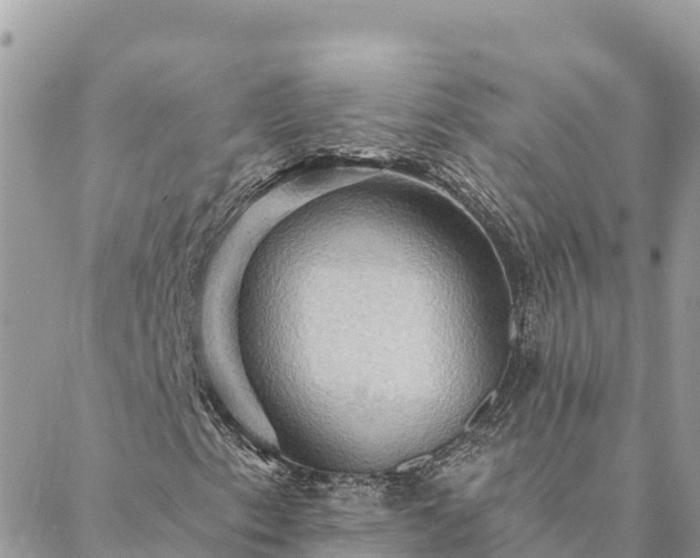 X0000088591153200706011130