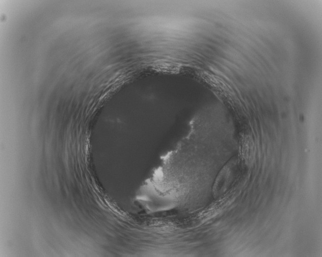 X0000088591154200706011130